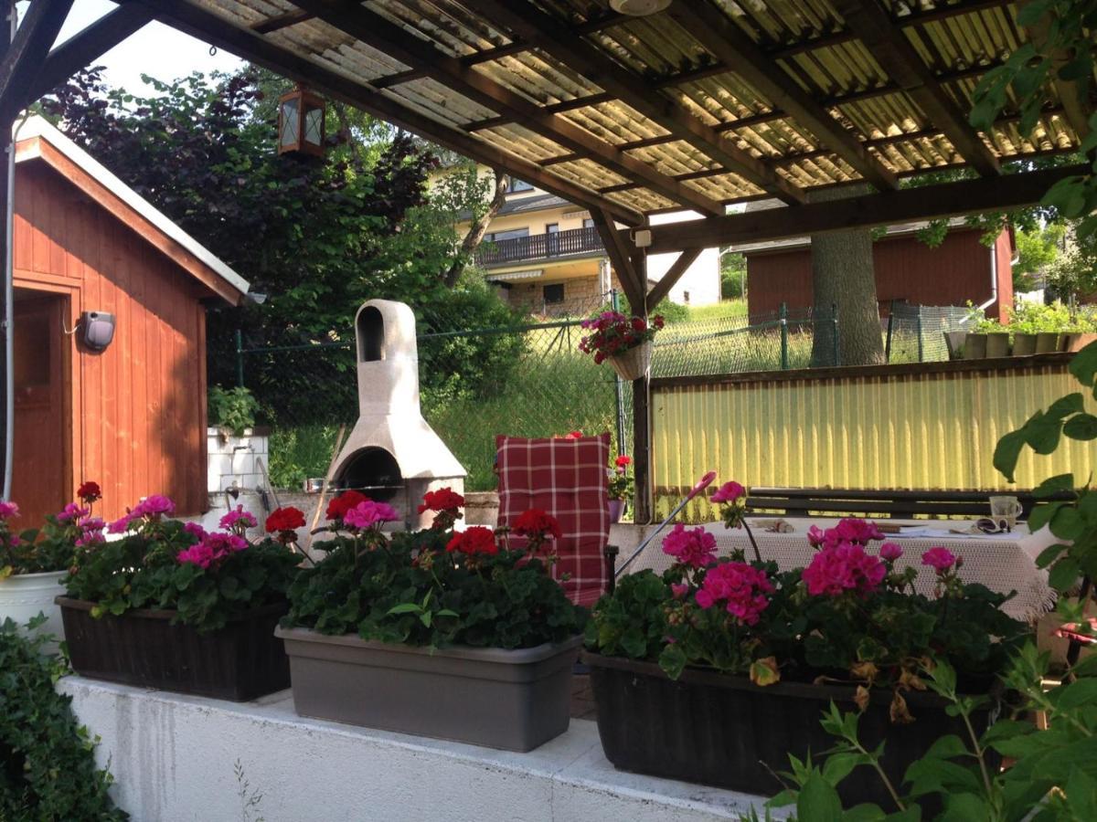 Am Balkon Des Erzgebirges Apartment Bernsbach Bagian luar foto