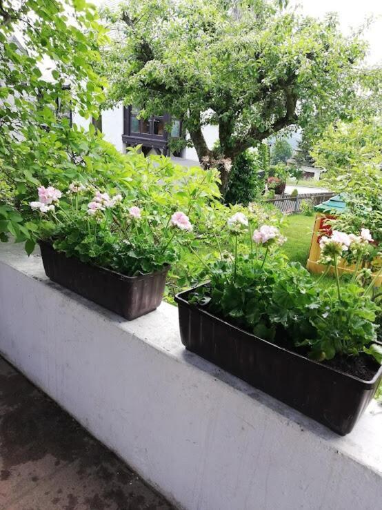 Am Balkon Des Erzgebirges Apartment Bernsbach Bagian luar foto